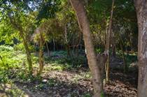 Lots and Land for Sale in Puerto Morelos, Quintana Roo $22,500
