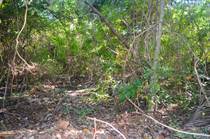 Lots and Land for Sale in Tulum, Quintana Roo $75,000